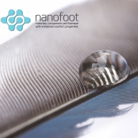 Poderá o calçado beneficiar com a utilização da nanotecnologia?