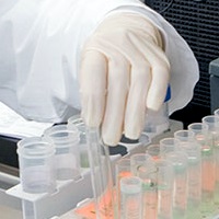 Laboratório do CTCP reconhecido para ensaios de acordo com a Legislação Americana