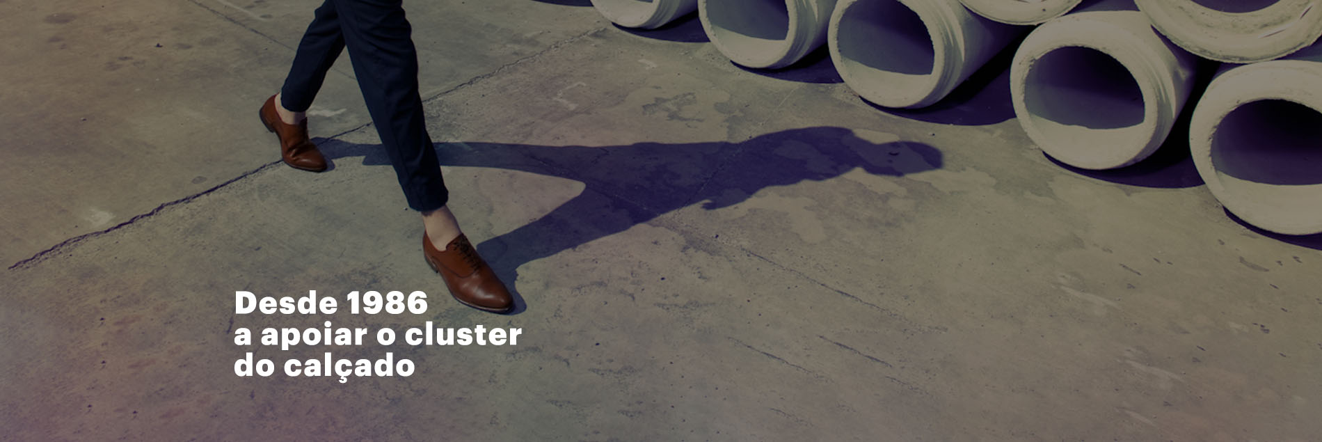 slide homepage - CTCP