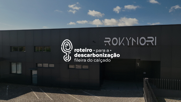 Testemunho da Fernandes & Sampaio