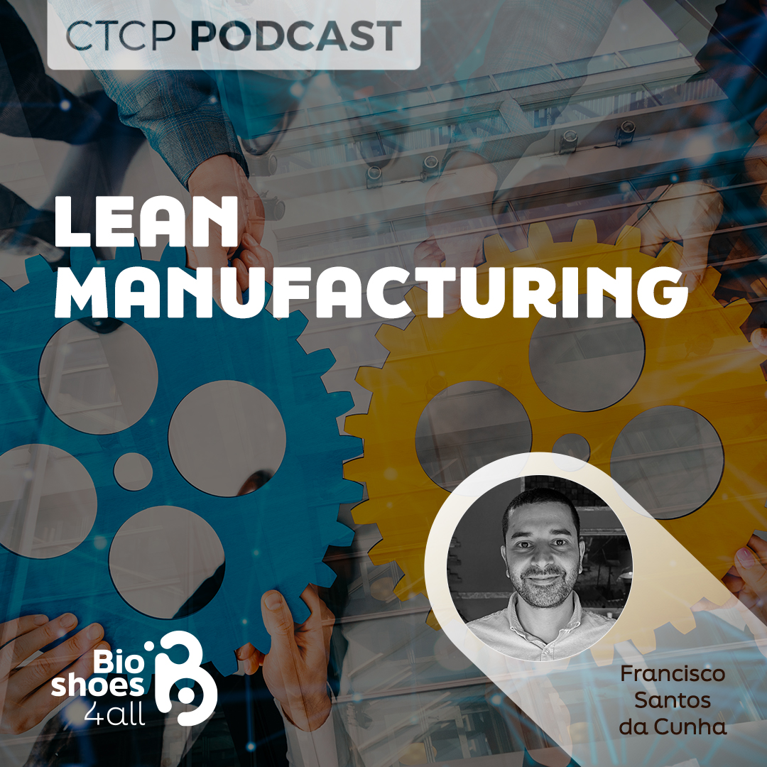 Francisco Santos da Cunha - Lean Manufacturing