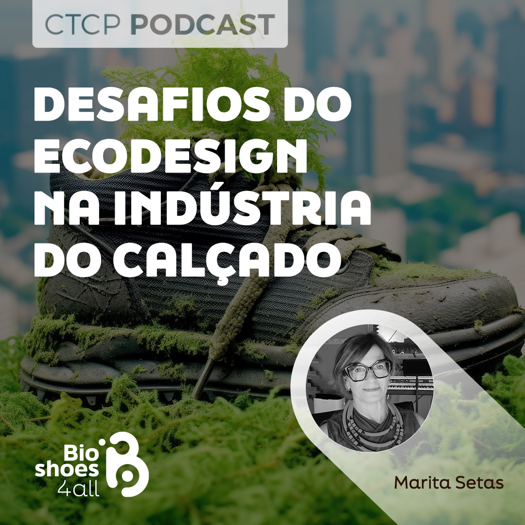 Marita Setas Ferro - Desafios do Ecodesign