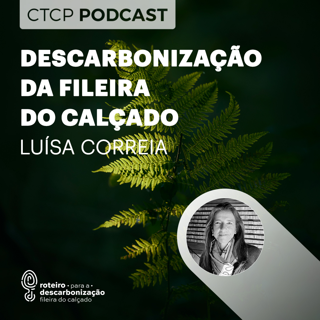 A descarbonização e o futuro das empresas do setor