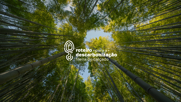 O que é o Roteiro para a Descarbonização?