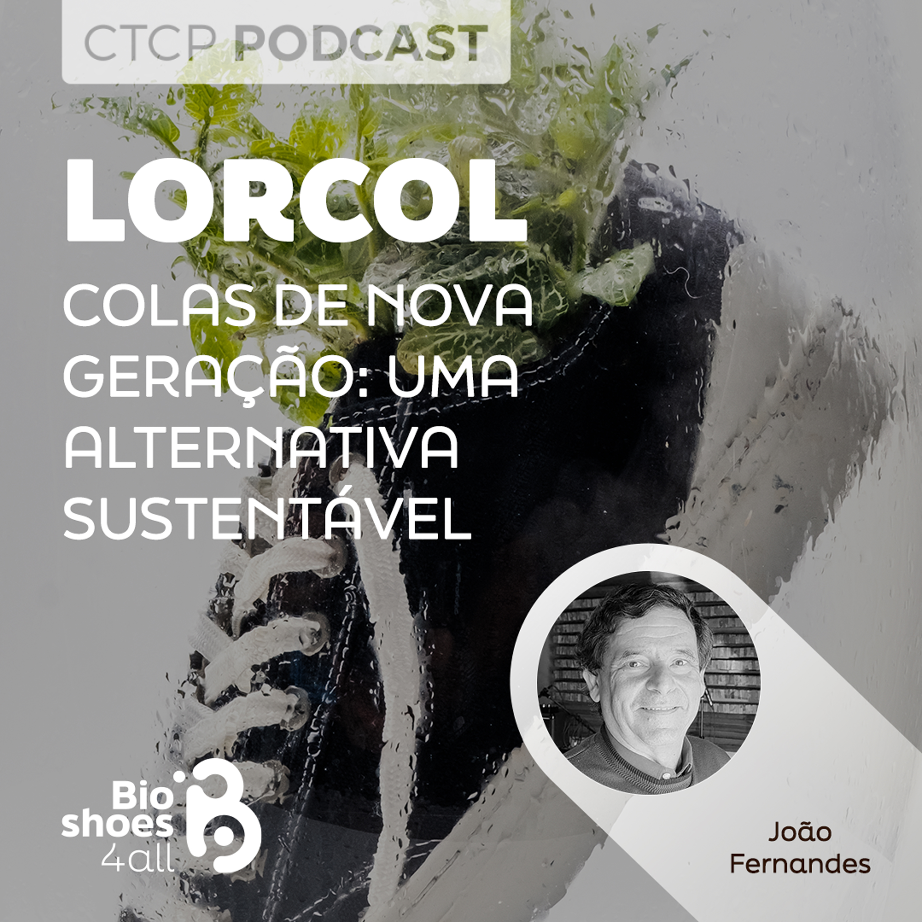 Lorcol – Colas de nova geração: uma alternativa sustentável