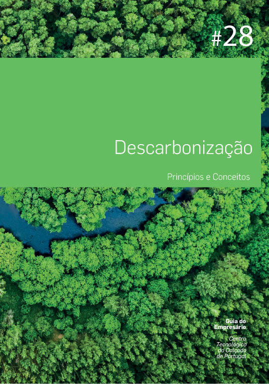 Descarbonização - Princípios e Conceitos