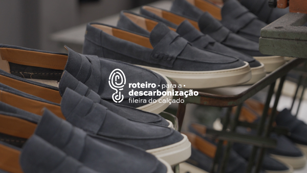 Testemunho da Vercesa