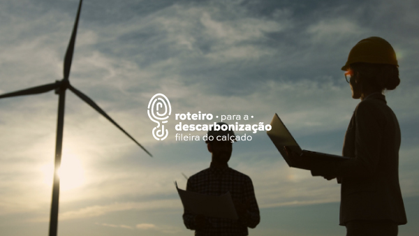Energias Renováveis e a sua Importância para a Descarbonização