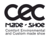 Projecto CEC-made-shoe apresenta resultados