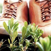 Ferramenta para cálculo da pegada de carbono no calçado, desenvolvida no CO2SHOE, certificada em Espanha