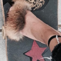 Zara é novamente acusada de copiar designs