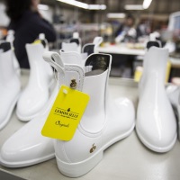  Na Procalçado só entra vegan e energia renovável