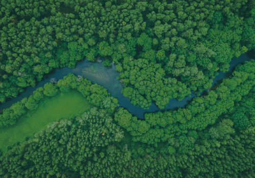 Carta de Princípios e Selo de Descarbonização já disponíveis