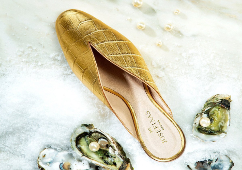 Conferência 'BioShoes4All: The Final Step'