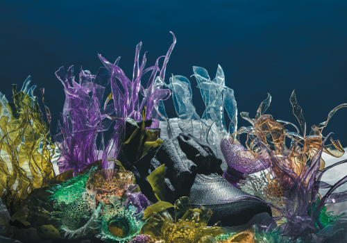 O papel dos oceanos na descarbonização