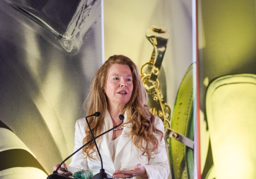 Maria José Ferreira apresenta o BioShoes4All na exposição 'O Couro é o Nosso Património'
