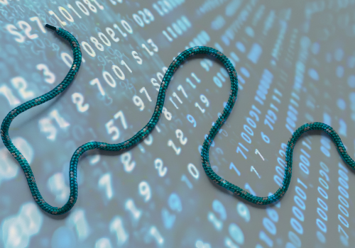 Webinar- Rastreabilidade no Setor do Calçado - O Futuro com o Passaporte Digital do Produto