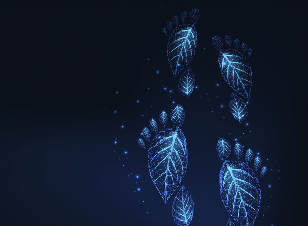 Kit4foot: Capacitar a indústria do calçado