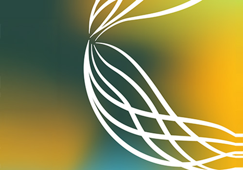 BioShoes4All na conferência Bioeconomia Sustentável