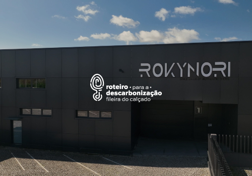 Testemunho da Fernandes & Sampaio | Roteiro para a Descarbonização