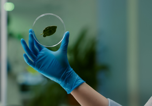 Webinar sobre alegações ambientais e as ferramentas de suporte e comprovação