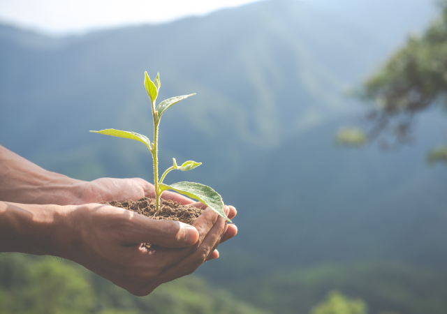 Serviço Ambiente do CTCP auxilia empresas do setor