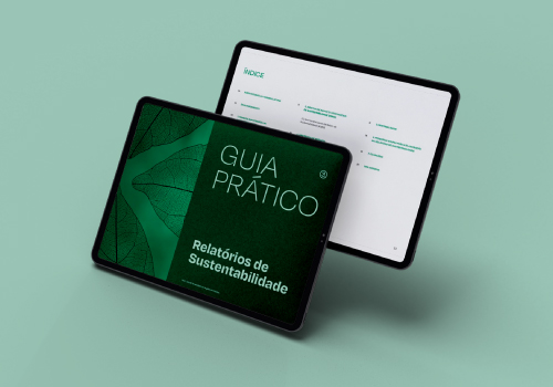 CTCP apresentou guia prático para a elaboração de relatórios de sustentabilidade 