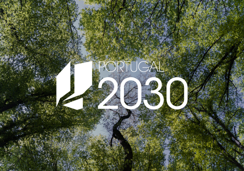 Apoios à economia circular: Candidaturas abertas no âmbito do PT2030