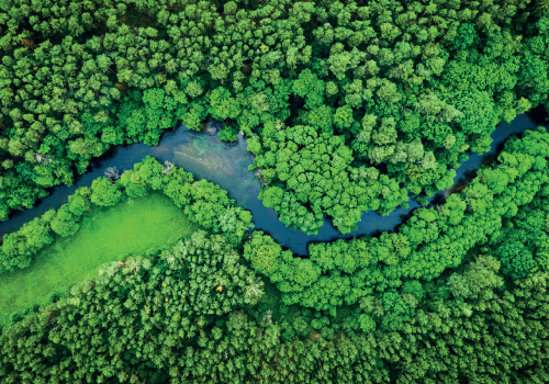 Roteiro para a Descarbonização da Fileira do Calçado em consulta pública