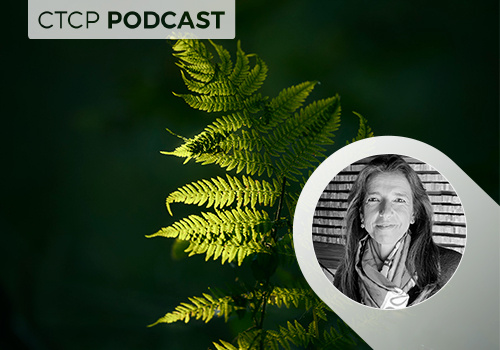 A descarbonização e o futuro das empresas do setor