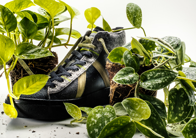 Empresas portuguesas <br> reduzem emissões e <br> usam mais renováveis