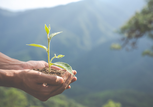Serviço Ambiente do CTCP auxilia empresas do setor