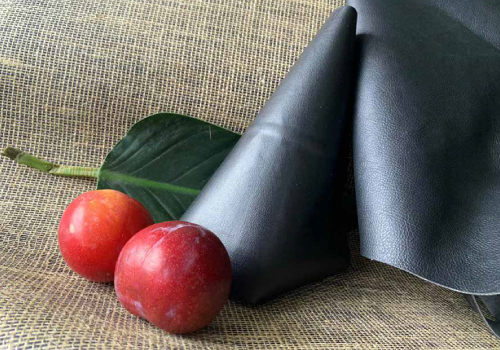 Tribunal alemão proíbe utilização enganosa do termo Apple Leather