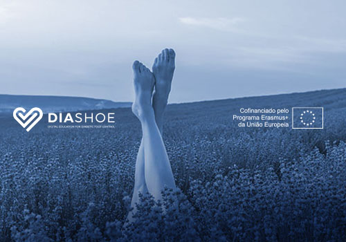 Seminário Diashoe: calçado para diabéticos