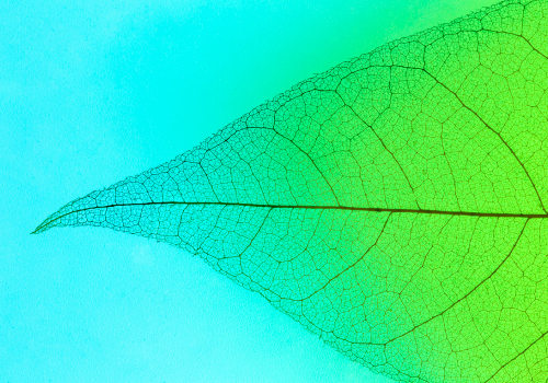 Estudo sobre transição digital e verde nas organizações 
