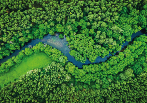Apresentação do Roteiro para a Descarbonização da Fileira do Calçado