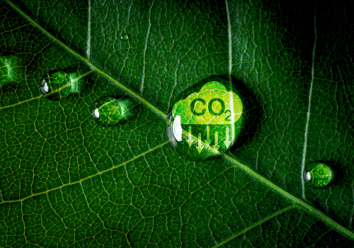 Webinar: Descarbonização como uma oportunidade – Da Visão à Ação