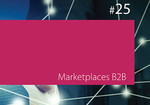 Guia do empresário: Marketplaces B2B