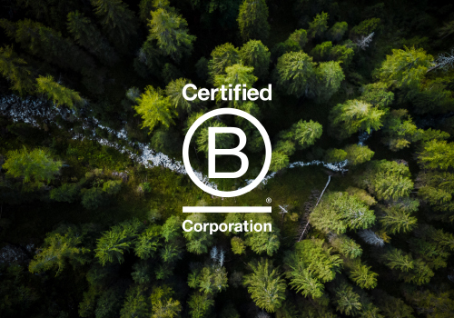 Novo modelo de certificação B Corp entra em vigor brevemente