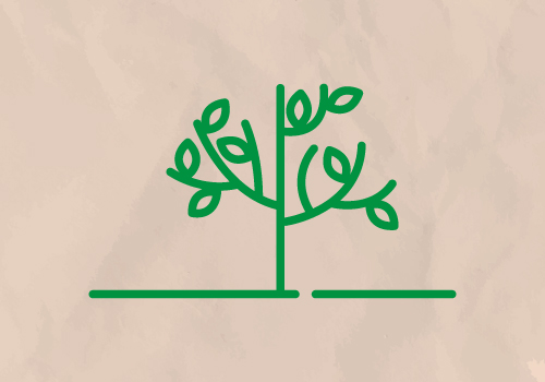 Webinar: Relatórios de Sustentabilidade - Desafios e Oportunidades