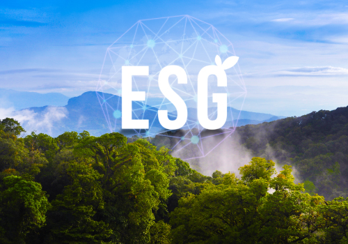 Formação de ESG e Relatórios de Sustentabilidade