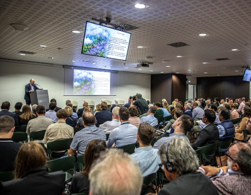 Couro não é o motor da desflorestação 