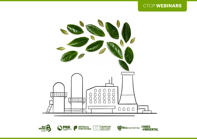 Webinar: Organização industrial para a sustentabilidade