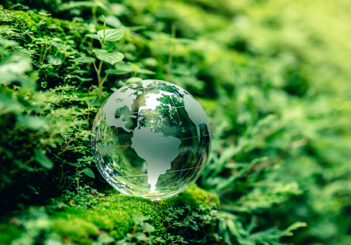 Webinar: Sustentabilidade - Perspetivas regulatórias para 2025