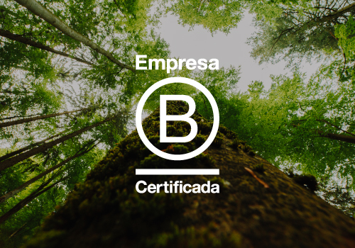 Certificação B Corp: passo a passo