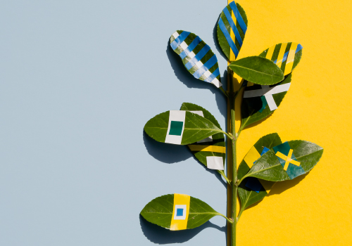 Webinar sobre como assegurar a transparência e evitar o greenwashing