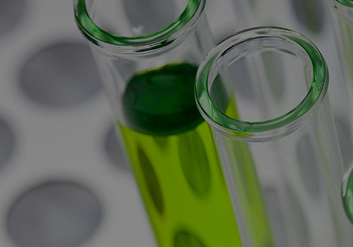 Centro Tecnológico do Calçado de Portugal reforça presença em Felgueiras