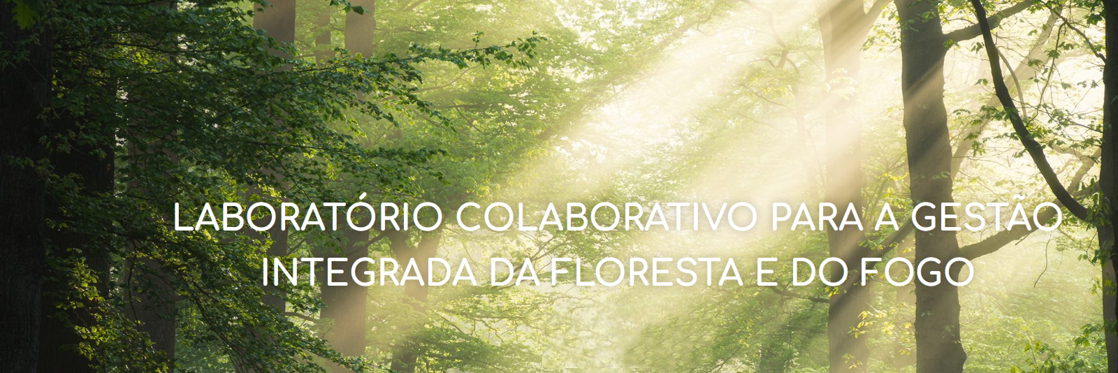 ForestWISE – Laboratório Colaborativo para a Gestão Integrada da Floresta e do Fogo