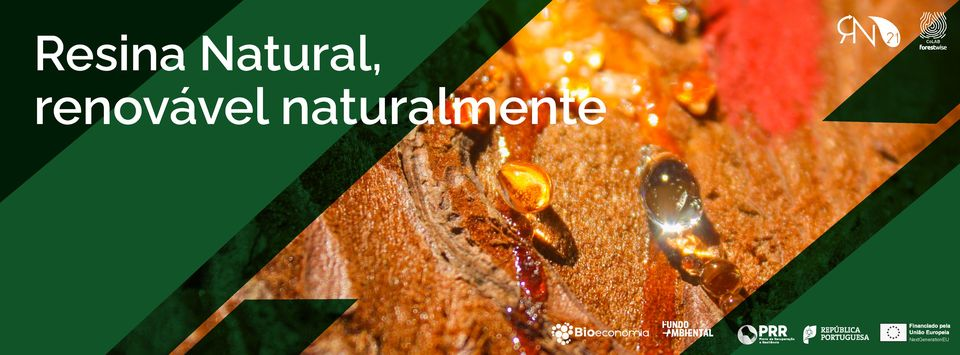 RN21 – Inovação na Fileira da Resina Natural para Reforço da Bioeconomia Nacional